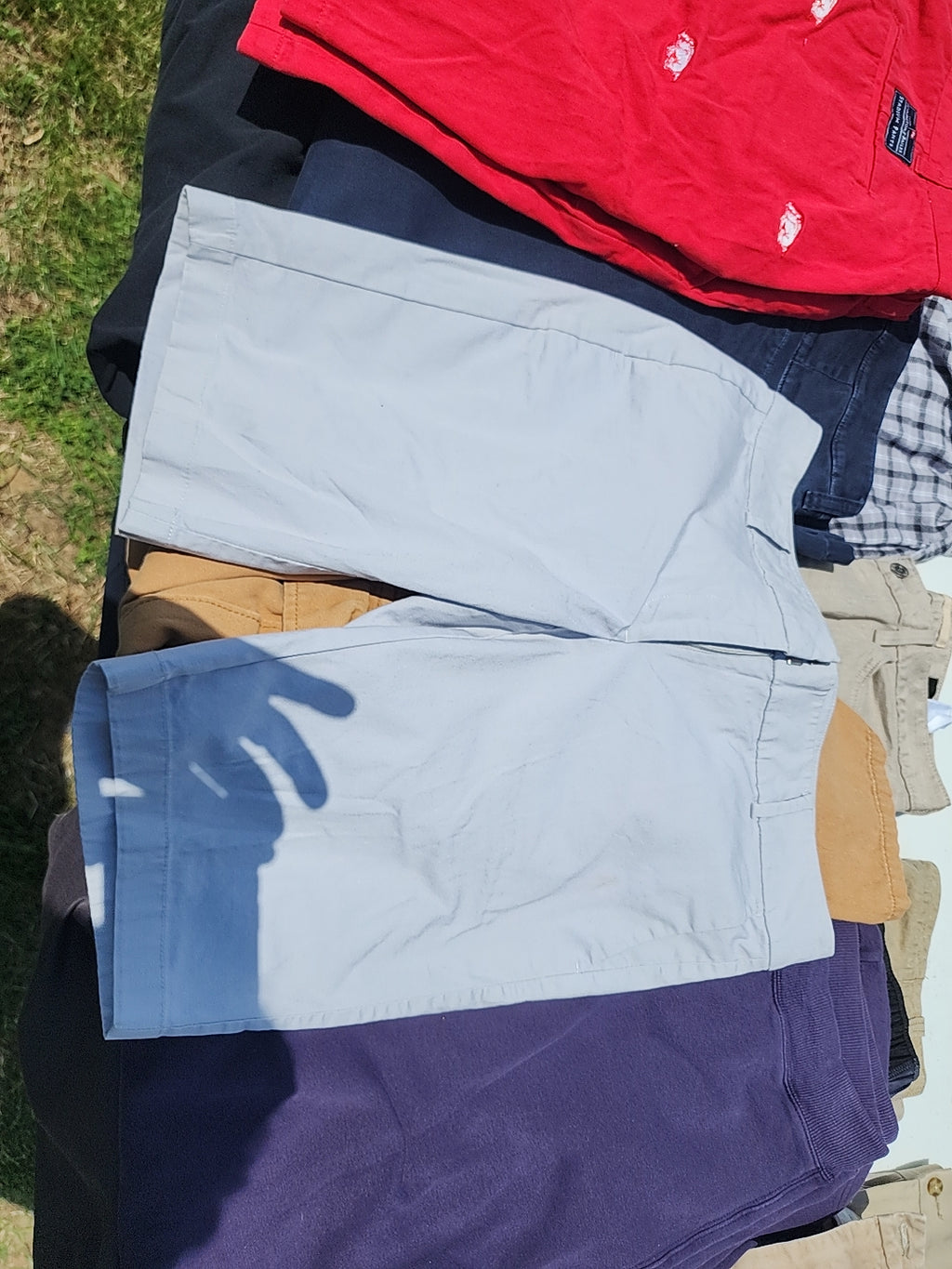 Ann Taylor Boardway Short