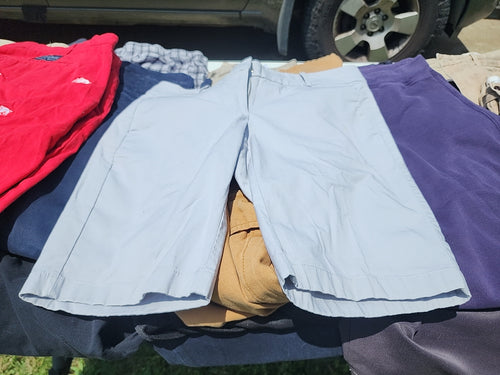 Ann Taylor Boardway Short