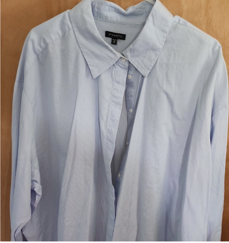 Dynamite Collared Button-Up Blouse