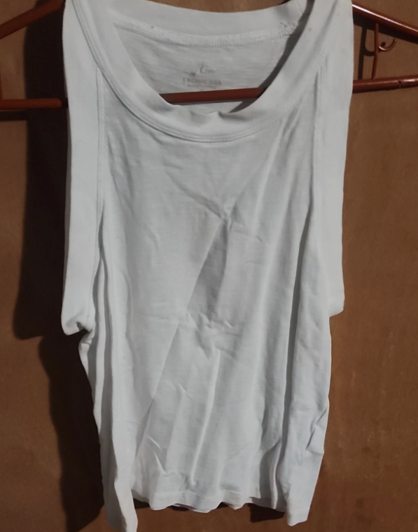 J Crew Round Neck Sleeveless